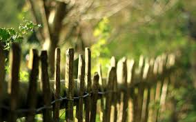 Fence
