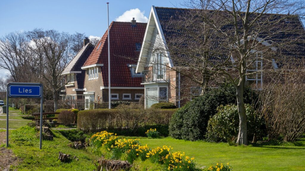 Lies Nederland